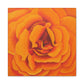 Orange Rose Floral Canvas Wall Art — Matte Stretched Canvas