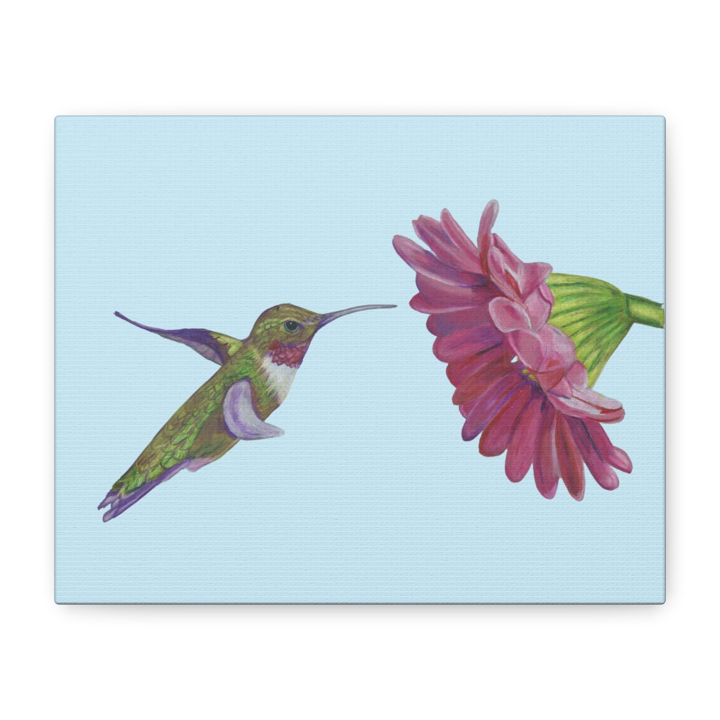 Hummingbird with Zinnia, Matte Canvas, Stretched, 1.25"