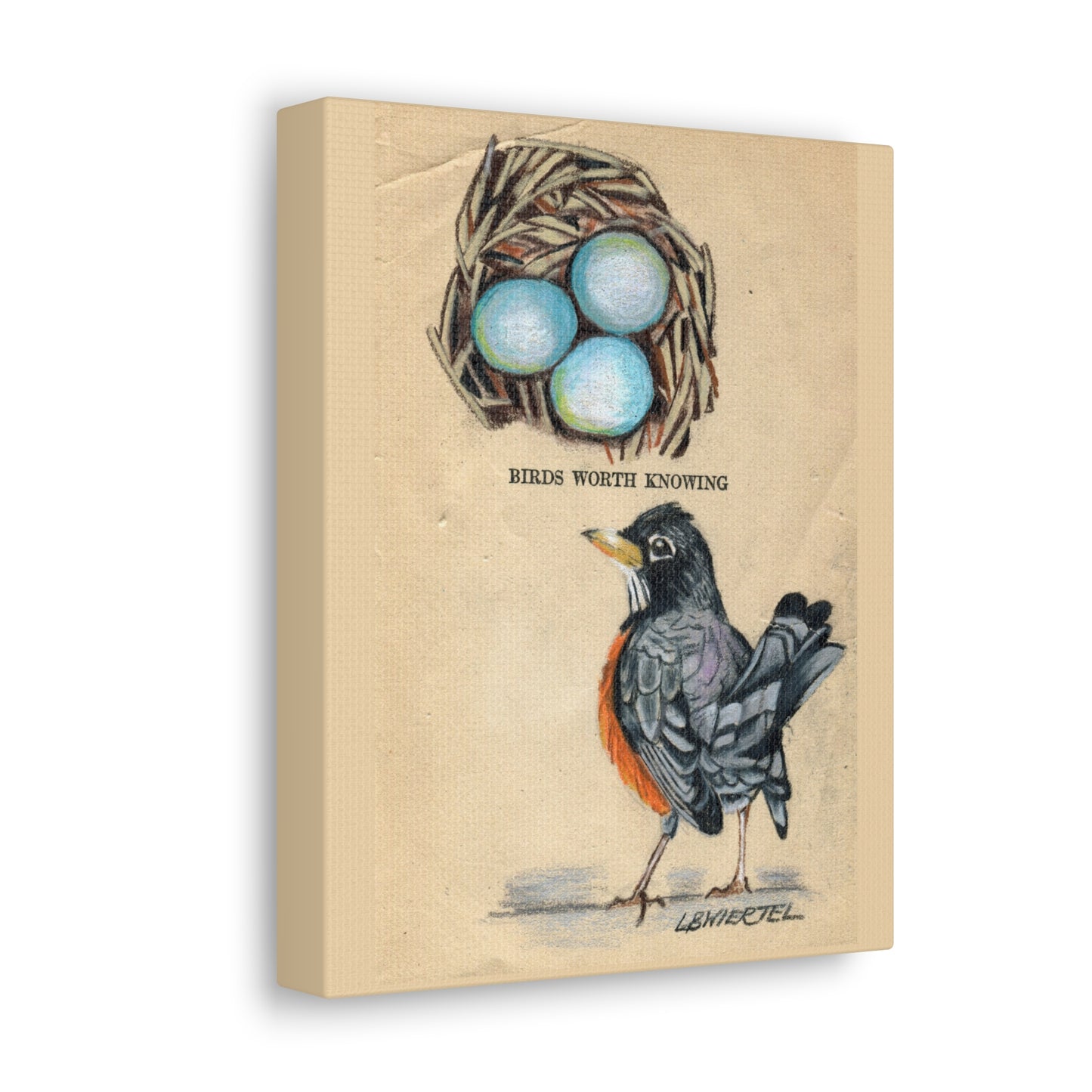 "Birds Worth Knowing" Canvas Gallery Wrap Print