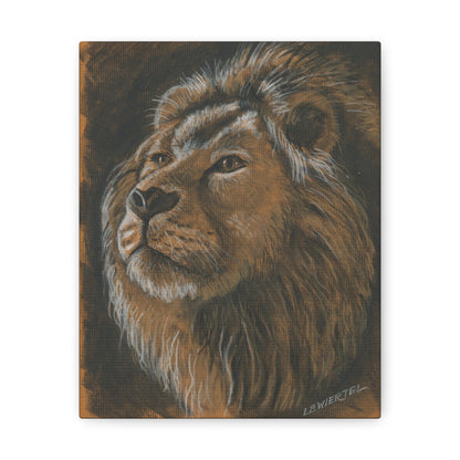 "Lion Study #1" Canvas Gallery Wrap