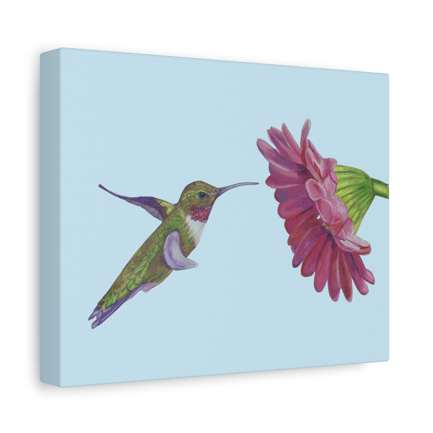 Hummingbird with Zinnia, Matte Canvas, Stretched, 1.25"