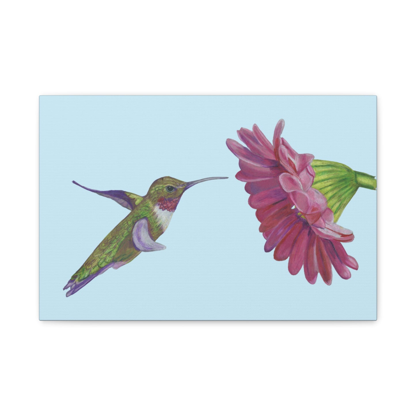 Hummingbird with Zinnia, Matte Canvas, Stretched, 1.25"