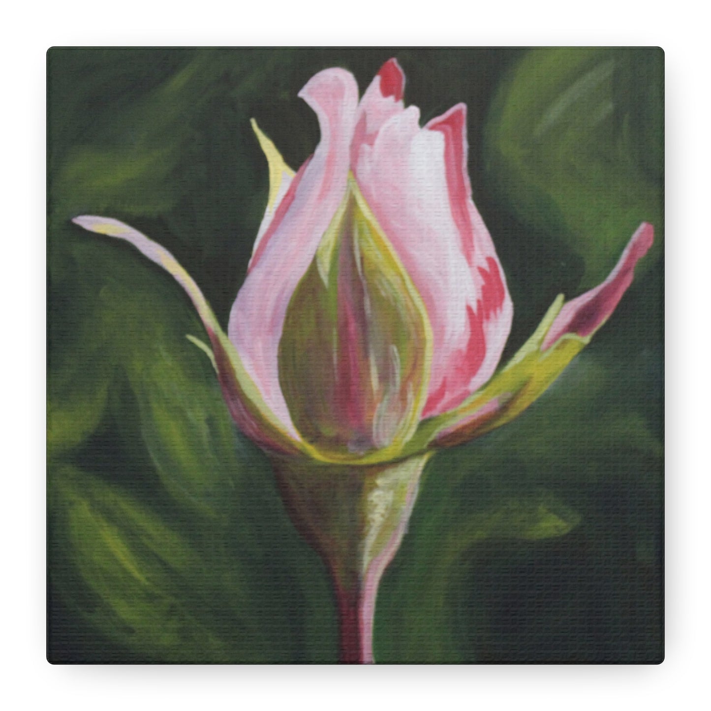 "Rose Bud Study", Matte Canvas, Stretched, 1.25"