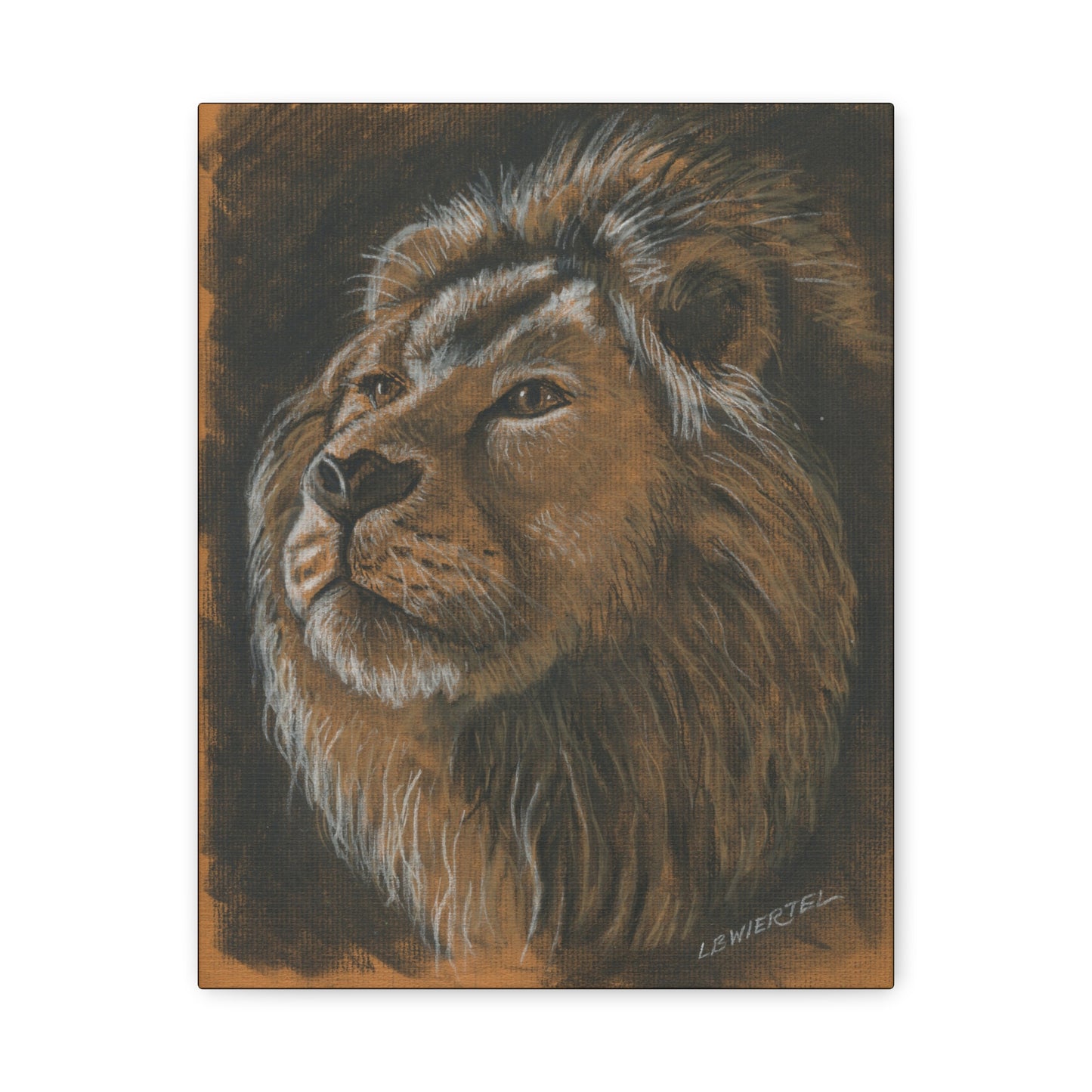 Majestic Lion Portrait Matte Canvas - Stretched Wall Art
