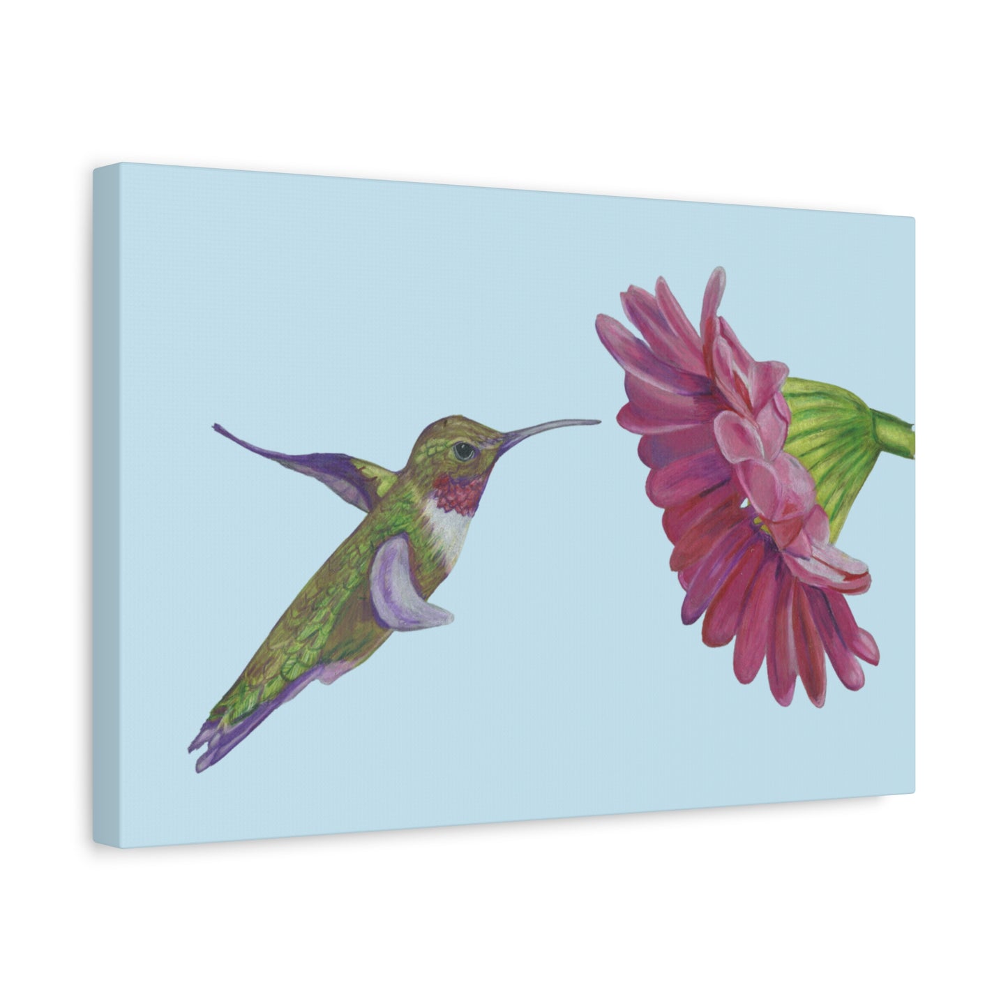 Hummingbird with Zinnia, Matte Canvas, Stretched, 1.25"