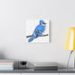 Blue Jay on Branch, Matte Canvas, Stretched, 1.25"