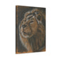 "Lion Study #1" Canvas Gallery Wrap