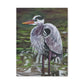 Great Blue Heron Art Print — Matte Stretched Canvas Wall Decor