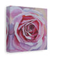 Pink Rose Canvas Print — Matte Stretched Floral Wall Art