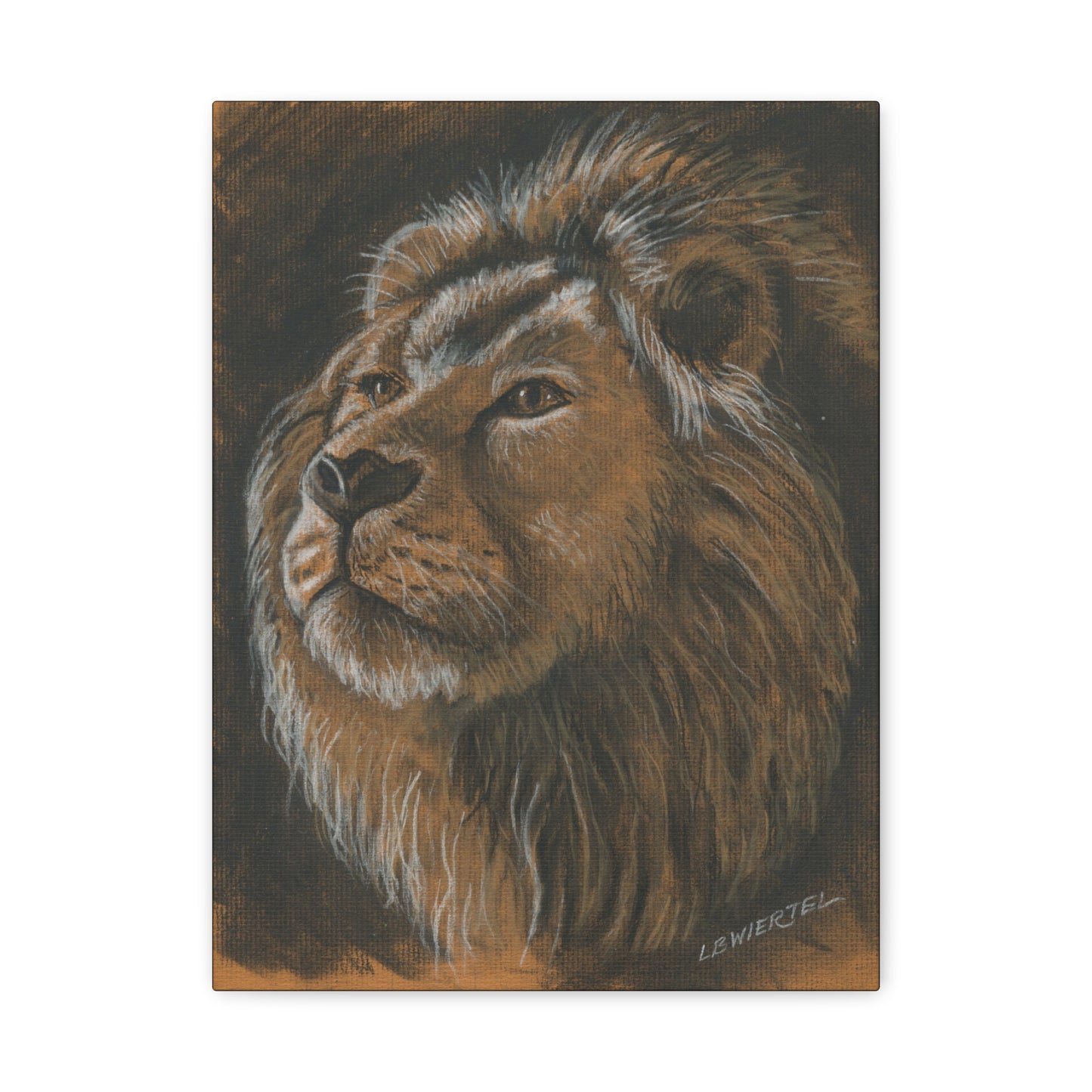 Majestic Lion Portrait Matte Canvas - Stretched Wall Art