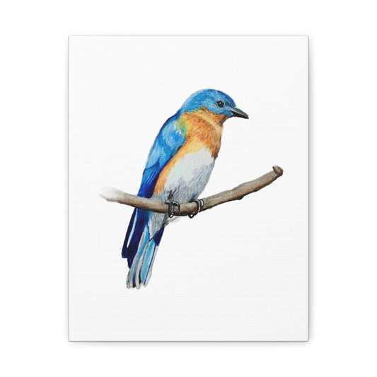 Blue Bird, Matte Canvas, Stretched, 1.25"