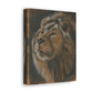 "Lion Study #1" Canvas Gallery Wrap