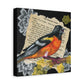 Baltimore Oriole Art Canvas - Vintage Bird Illustration on Stretched Matte Canvas