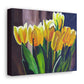 "Touch of Spring" Canvas Gallery Wrap Print