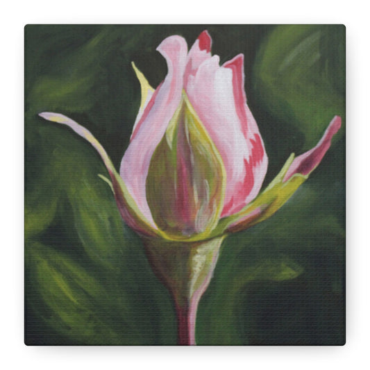 Pink Rosebud Canvas Art – Botanical Floral Wall Decor, Stretched Matte Canvas 1.25"