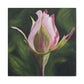 "Rose Bud Study", Matte Canvas, Stretched, 1.25"