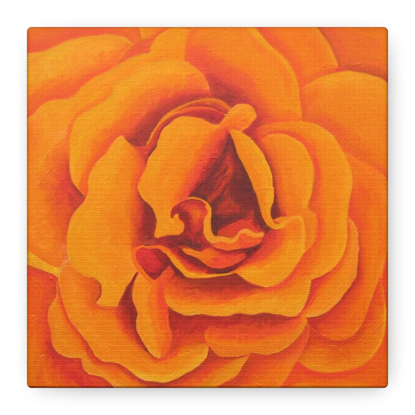 Orange Rose Floral Canvas Wall Art — Matte Stretched Canvas