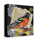 Baltimore Oriole Art Canvas - Vintage Bird Illustration on Stretched Matte Canvas