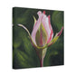 Pink Rosebud Canvas Art – Botanical Floral Wall Decor, Stretched Matte Canvas 1.25"