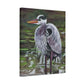 Great Blue Heron Art Print — Matte Stretched Canvas Wall Decor