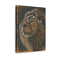 "Lion Study #1" Canvas Gallery Wrap