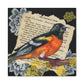 Baltimore Oriole Art Canvas - Vintage Bird Illustration on Stretched Matte Canvas