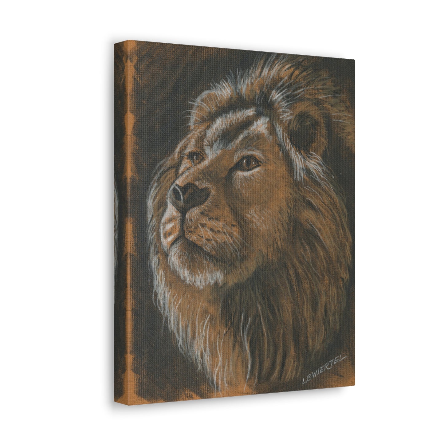 "Lion Study #1" Canvas Gallery Wrap