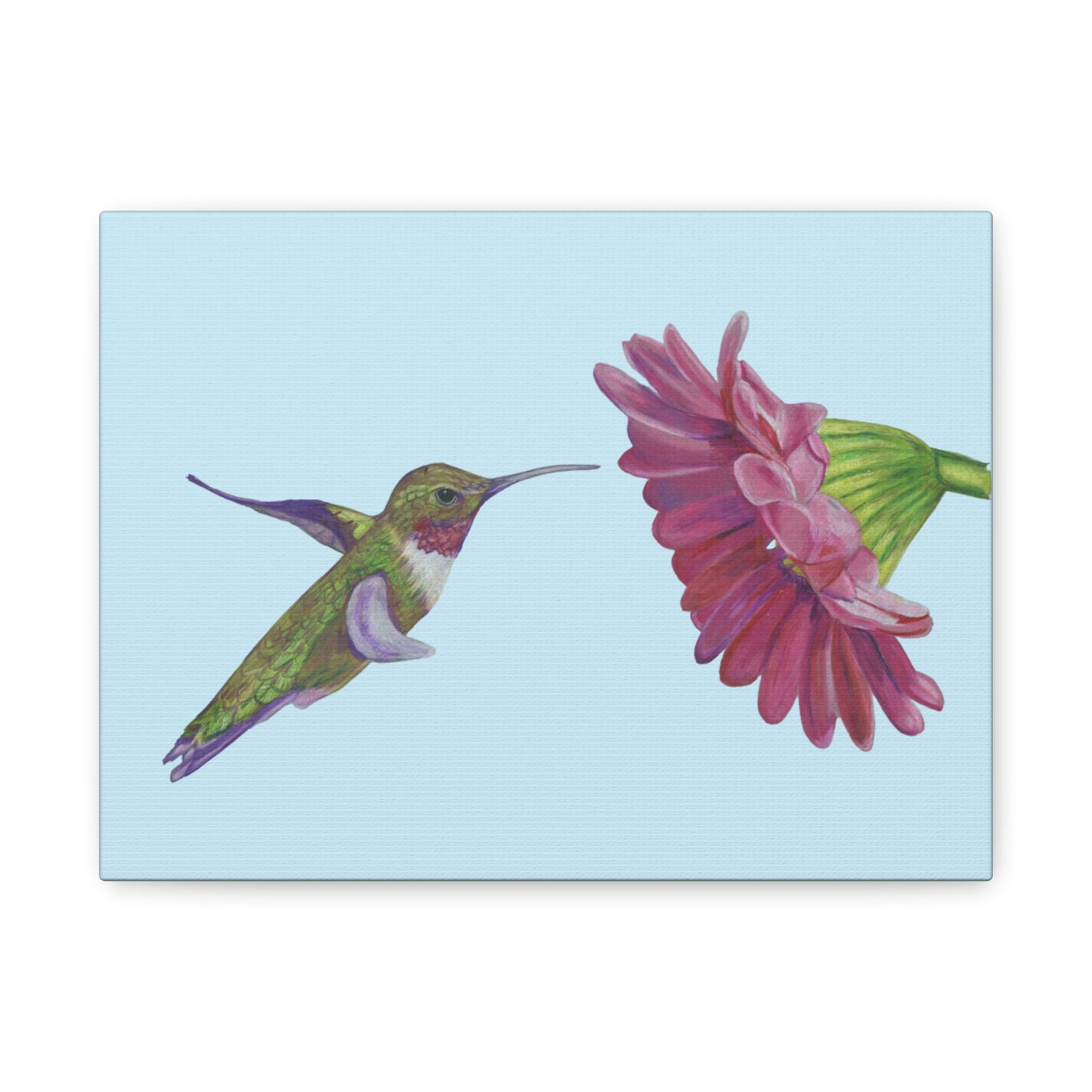 Hummingbird with Zinnia, Matte Canvas, Stretched, 1.25"