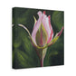 Pink Rosebud Canvas Art – Botanical Floral Wall Decor, Stretched Matte Canvas 1.25"