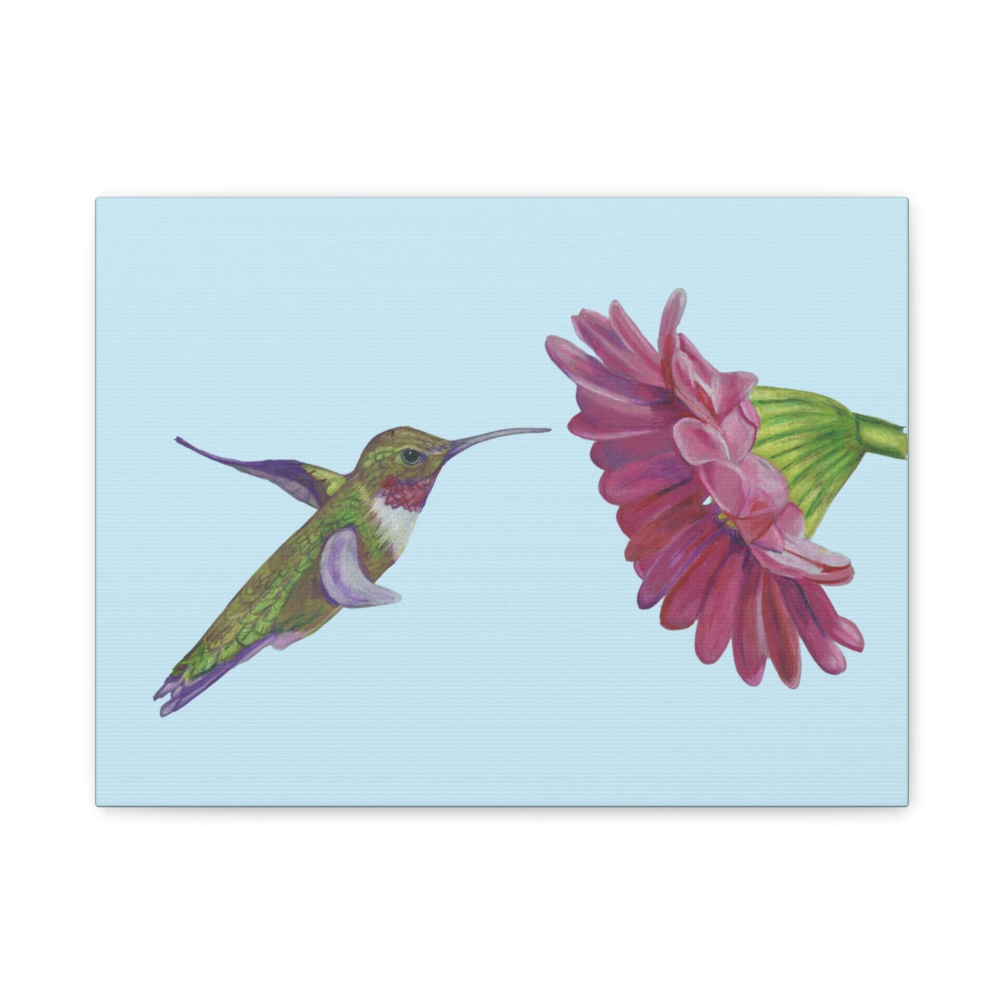 Hummingbird with Zinnia, Matte Canvas, Stretched, 1.25"