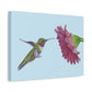 Hummingbird with Zinnia, Matte Canvas, Stretched, 1.25"