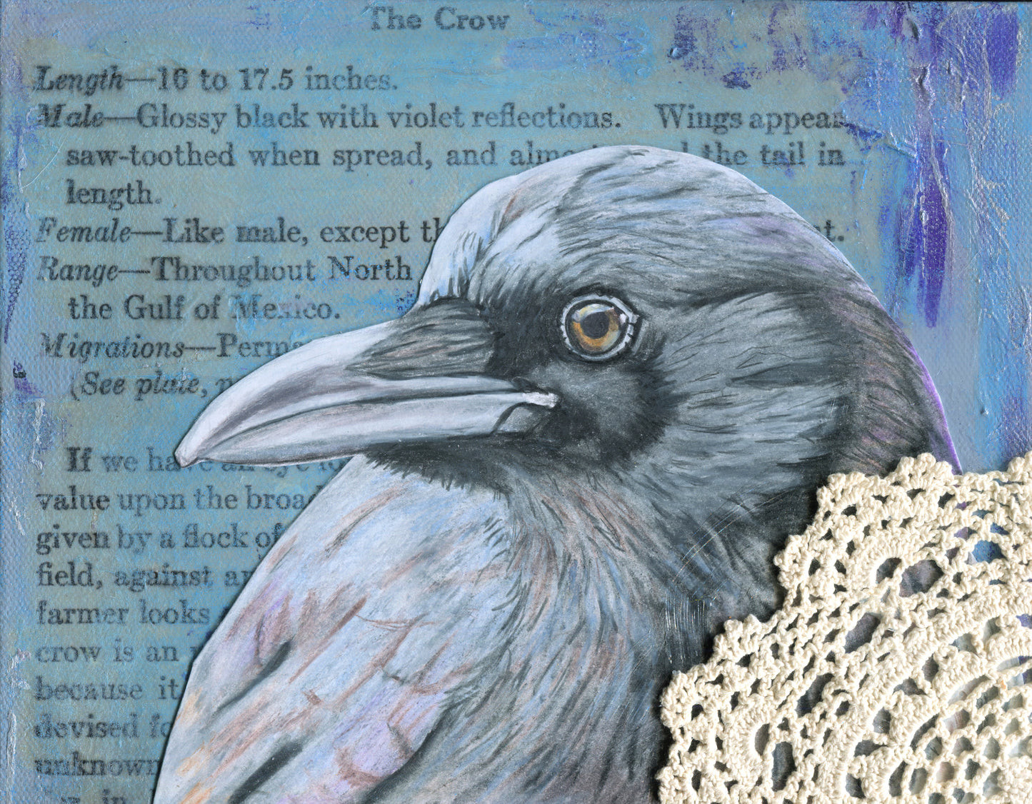 "Crow Study #3", mixed media on canvas, 11"x14"