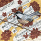 "Chickadee Melody", mixed media on canvas, 8"x8", $105.00