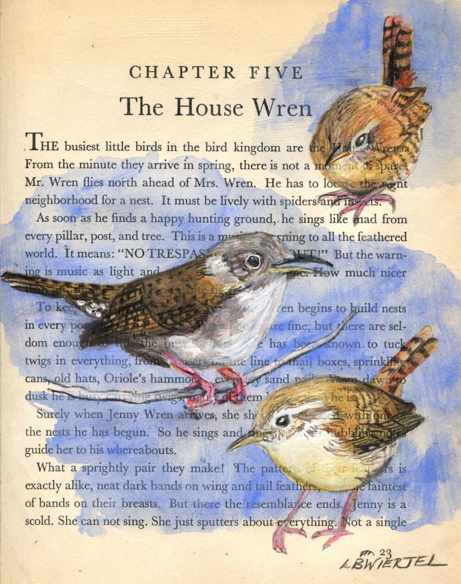 "The House Wren", Mixed media on Vintage Book Page, 9"x12"