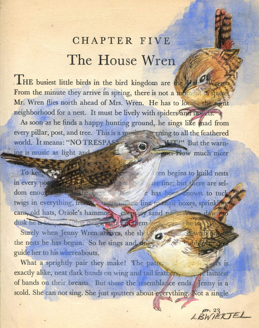 "The House Wren", Mixed media on Vintage Book Page, 9"x12"