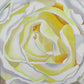White Study #2, acrylic on canvas, 30"x30"