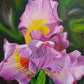 "Springtime Iris", acrylic on gallery wrap canvas, 30"x30"