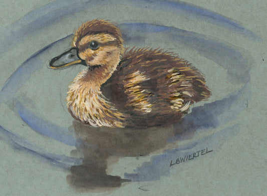 "Baby Mallard", ink painting on mixed media paper, 6"x6", matted and framed