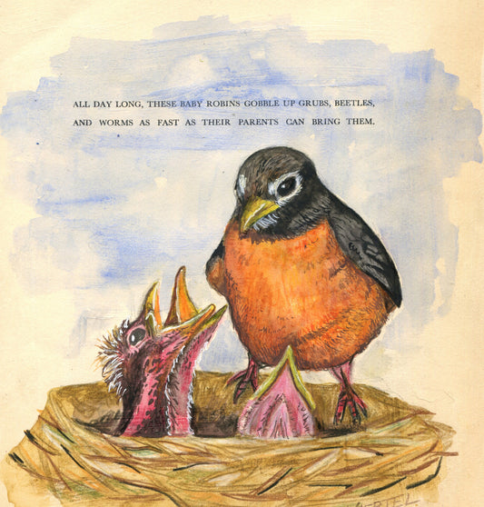 Robins In A Nest, Mixed Media on Vintage Book Page, 9"x12"