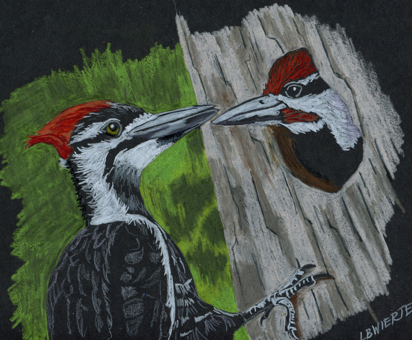 "Woodpecker Love", Prismacolor pencils on mixed media paper, 9"x12"