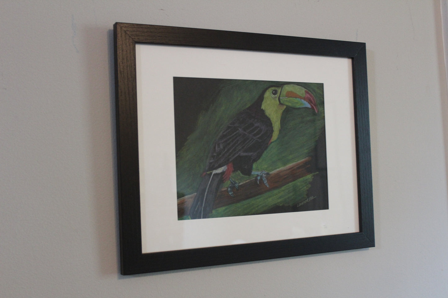 Toucan, Prismacolor Pencils on Mixed Media Paper, 9"x12", framed