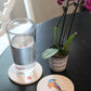 Absorbent Ceramic Bird Coasters