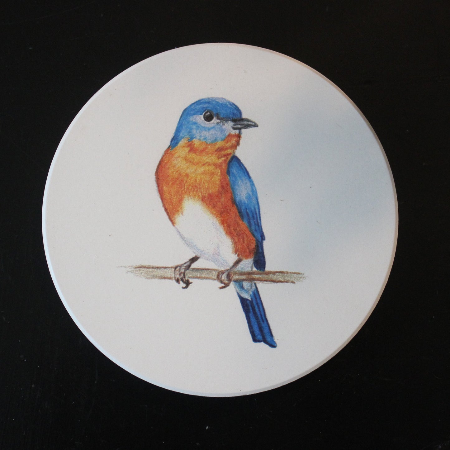 Absorbent Ceramic Bird Coasters